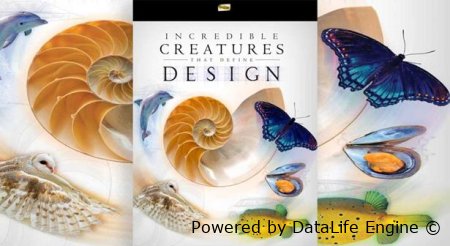 слушать онлайн высший замысел хокинга