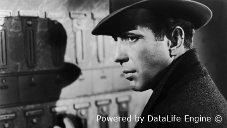 аудиокнига онлайн мальтийский сокол