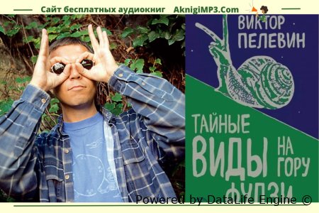 слушать онлайн бесплатно книги пелевина