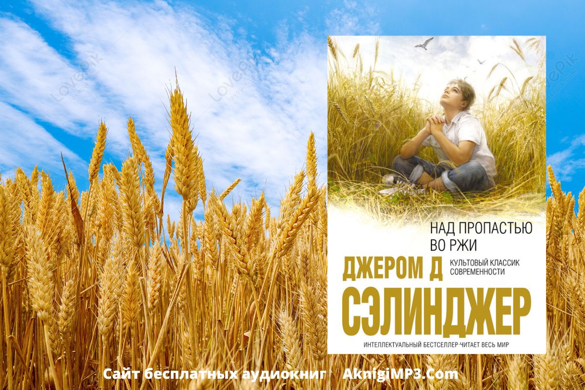 аудиокнига над пропастью во ржи