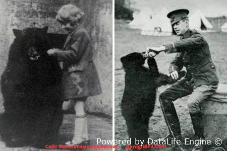 винни пух слушать