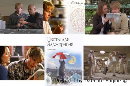 аудиокнига онлайн бесплатно цветы для элджернона