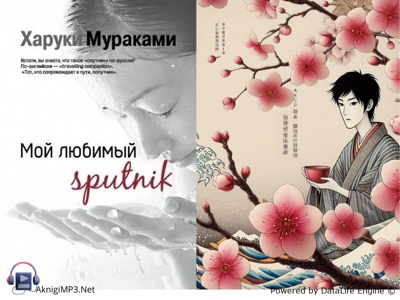 мой любимый спутник слушать аудиокнигу онлайн