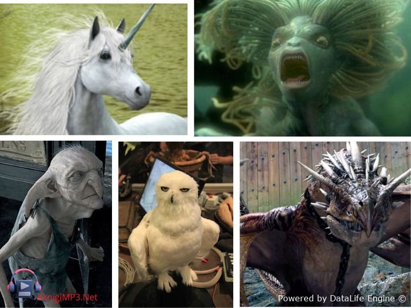 волшебные существа мира гарри поттера