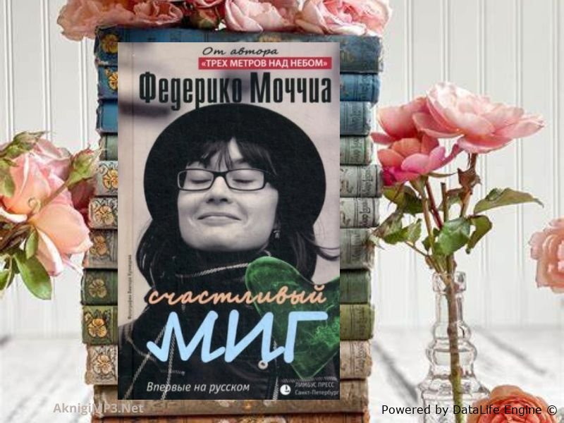 счастливый миг слушать аудиокнигу онлайн