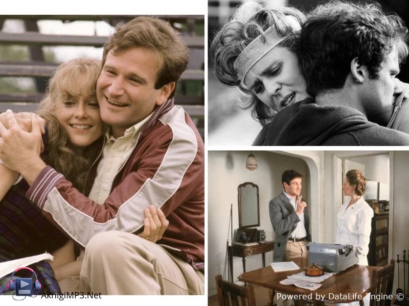 мир глазами гарпа аудиокнига онлайн