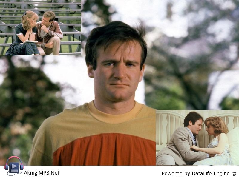 слушать аудиокнигу мир глазами гарпа онлайн бесплатно