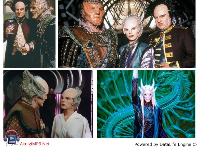 алгебраист короткое содержание