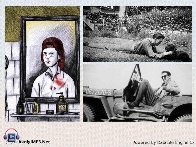 сэлинджер над пропастью во ржи краткое содержание