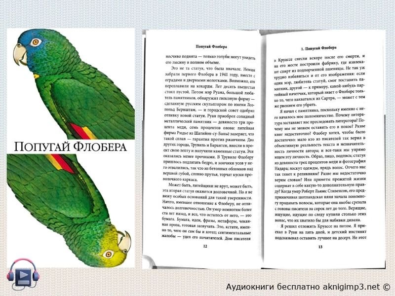 попугай флобера о чем роман