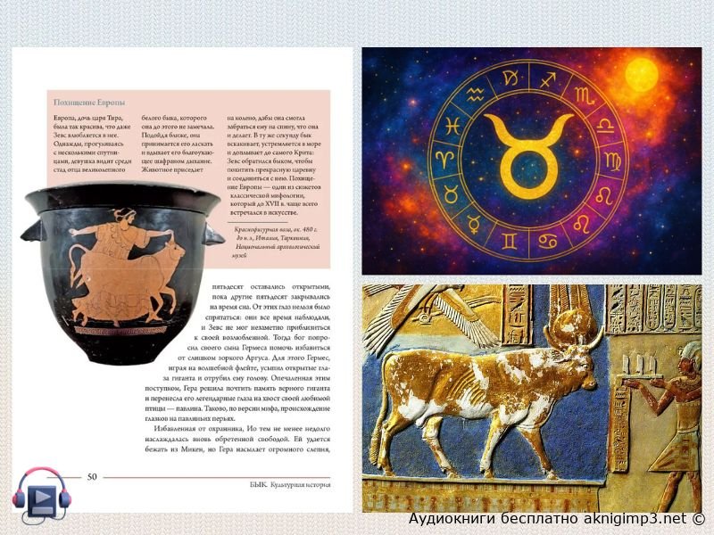 культурная история Мишель Пастуро