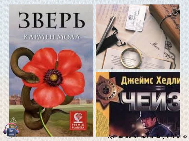 криминальные истории